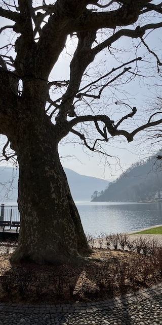 Caslano und sein Berg