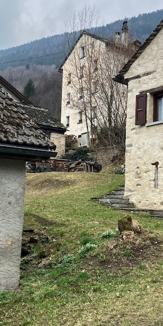 Schauen. Sehen. - Ein Experiment.