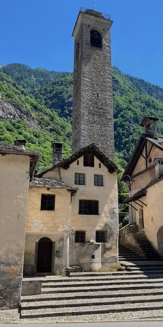 Tannen statt Weinreben