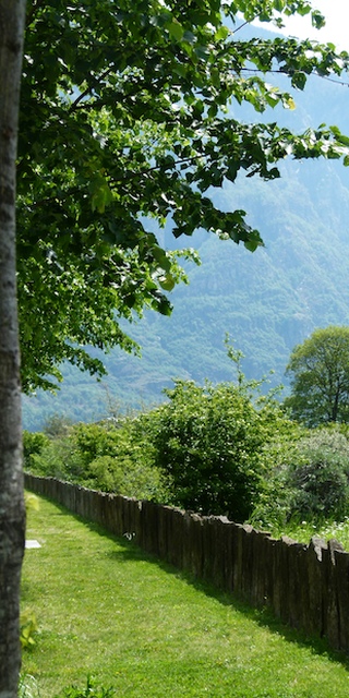 Im Lande Stefano Franscinis, Polleggio - wo Büsche wachsen, fuhren einst Züge, Foto: Bernhard Graf