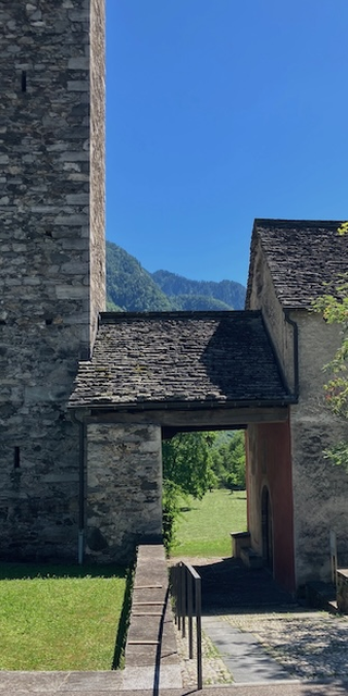 Tannen statt Weinreben
