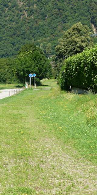 Arbedo, Lumino: Trasse der Schmalspurbahn Bellinzona-Castione-Mesocco, Foto: Bernhard Graf