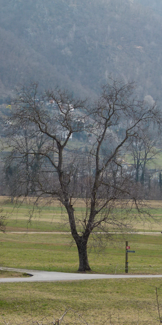 6714 Semione, Talboden, Foto: Bernhard Graf