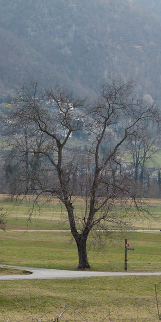 Semione, Talboden, Foto: Bernhard Graf