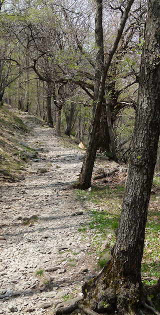 6802 Rivera, Weg auf die Monti dei Sassi, Foto: Bernhard Graf