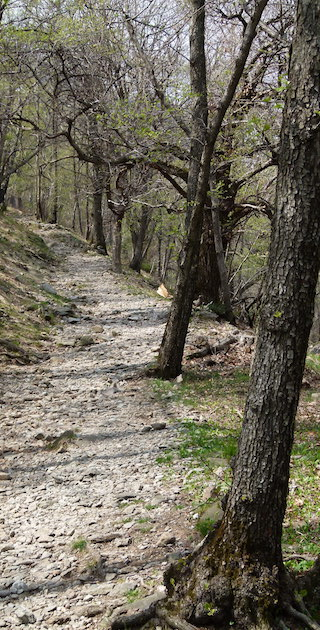 Rivera, Weg auf die Monti dei Sassi, Foto: Bernhard Graf