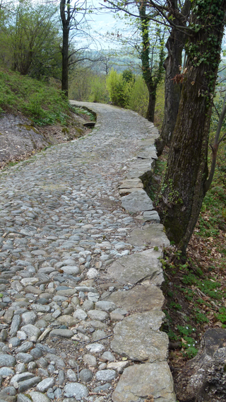 Monte Ceneri  - Angebot für Gruppen, Die sogenannte "Römerstrasse" hat eine über 700-jährige Geschichte, deren letztes Kapitel die Sanierung der Jahre 2012-16 bildet., Foto: Bernhard Graf