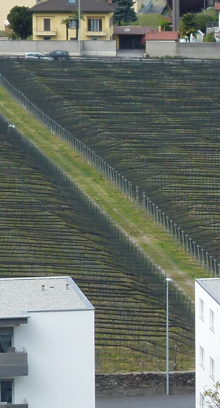 Monte Ceneri  - Angebot für Gruppen, Blick auf Quartino im April 2021 - Land-Art im Tessin..., Foto: Bernhard Graf