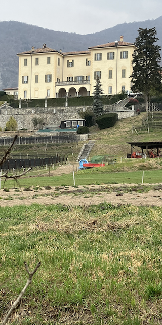 6874 Castel San Pietro, Villa Turconi, Foto: Bernhard Graf