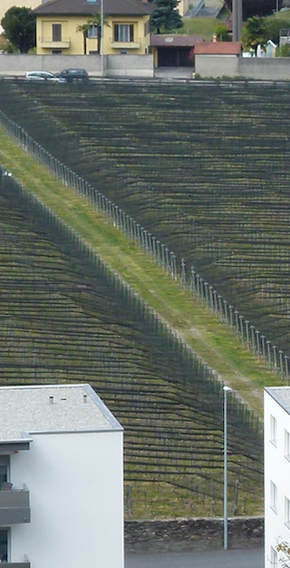 6802 Rivera, Quartino landart, Foto: Bernhard Graf