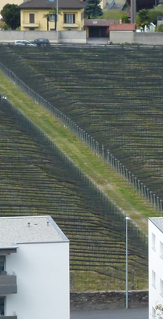 Rivera, Quartino landart, Foto: Bernhard Graf