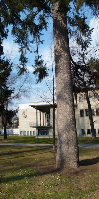 Lugano 4, Biblioteca cantonale
1939-41