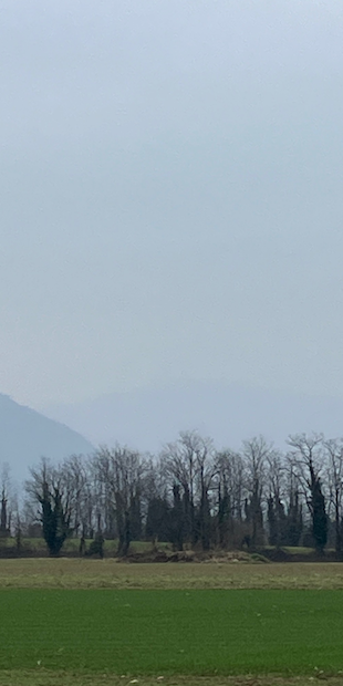 Warum ist Landschaft schön?, Landschaft ohne Weiteres, Foto: Bernhard Graf