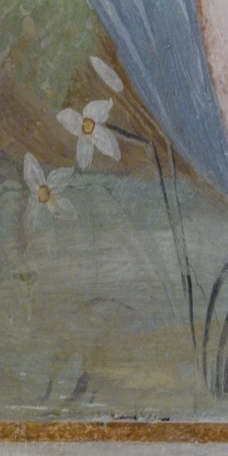 6900 Lugano 5, Narcissus verbanensis 