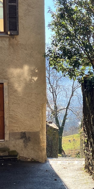 6981 Bedigliora 2, In Biogno, Foto: Bernhard Graf