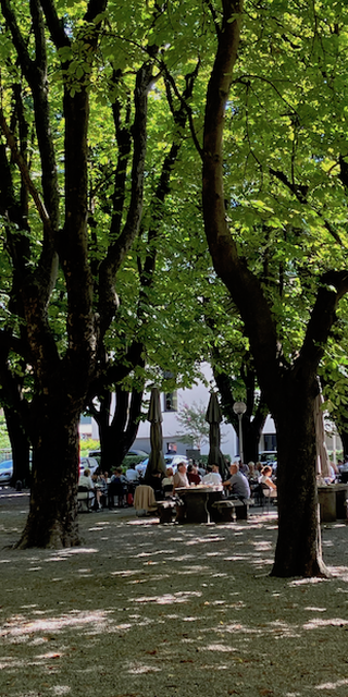 6500 Bellinzona 5, Unter den Bäumen des Grottino Ticinese lässt sich trefflich bianconisieren...