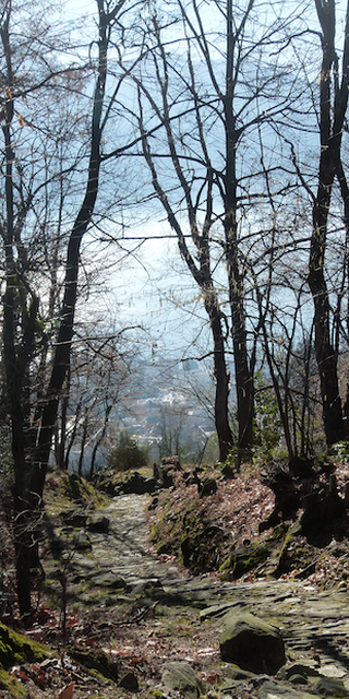 6645 Brione (Minusio), Der Weg hinunter nach Minusio, Foto: Bernhard Graf