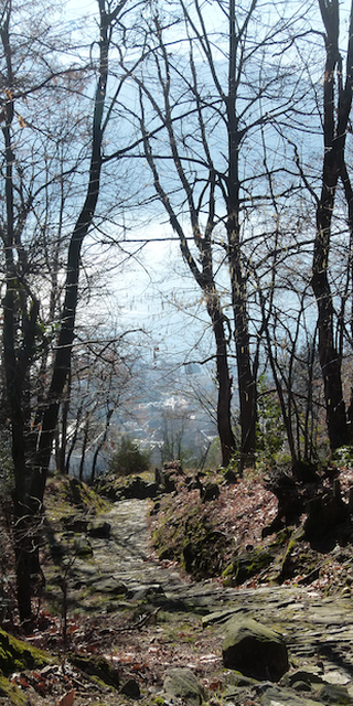 Brione (Minusio), Der Weg hinunter nach Minusio, Foto: Bernhard Graf