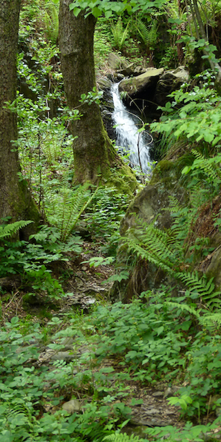 Tessiner Eintracht auf dem Monte Ceneri, Wasserreicher Ceneri , Foto: Bernhard Graf