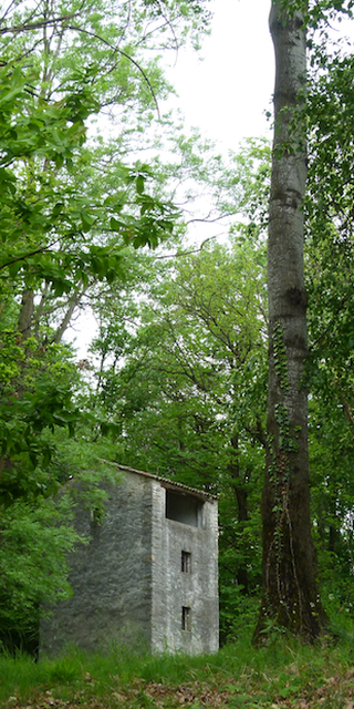 6599 Robasacco, Roccolo auf der Ceneri-Passhöhe, Foto: Bernhard Graf