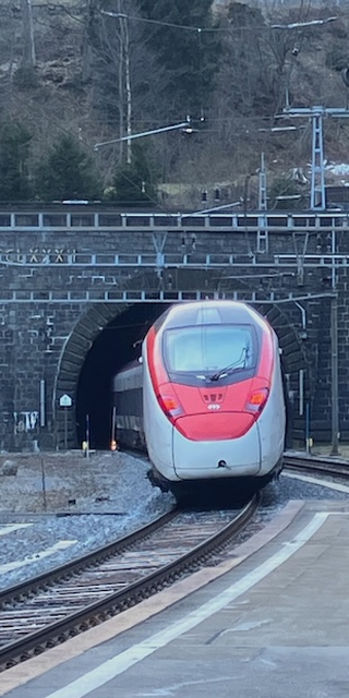 "Mein ganzes Geld ist dahin" - Zum 200. Geburtstag von Louis Favre, Seit 1882 rollen Z&uuml;ge durch den damals l&auml;ngsten Eisenbahntunnel der Welt.