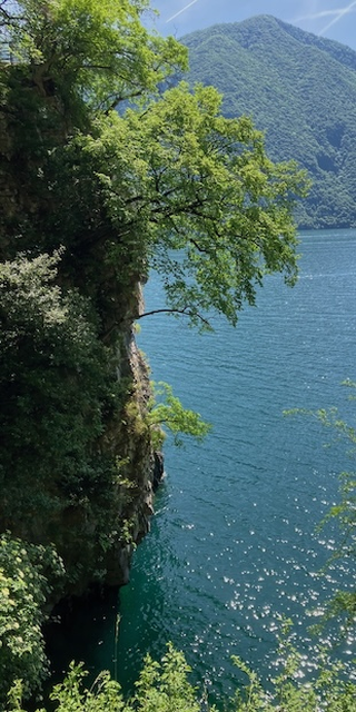 Kleine Flora von Gandria, Blick vom Sentiero di Gandria s&uuml;dw&auml;rts zum Monte di Caprino, Foto: Bernhard Graf