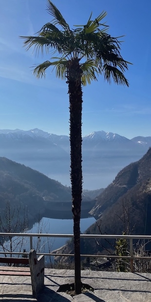 Zu den "Böcch" in Mergoscia