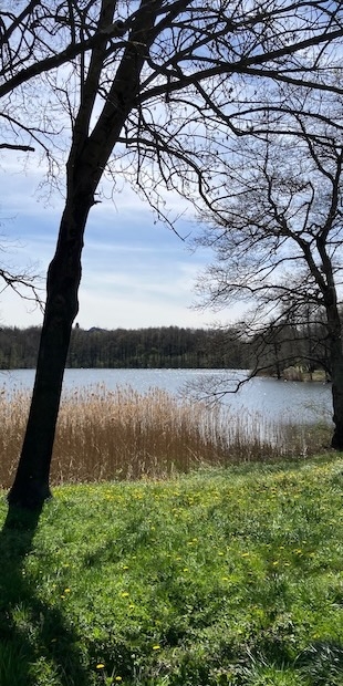 Zum Letzten Abendmahl, Lago di Origlio, Foto: Bernhard Graf