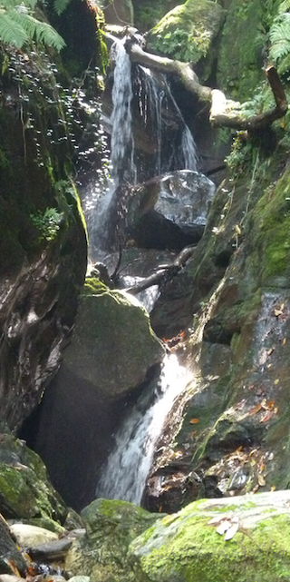 6575 Vairano, Wasser fällt durch den Wald., Foto: Bernhard Graf