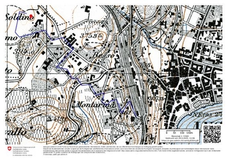 Lugano 1925 (swisstopo Zeitreise)